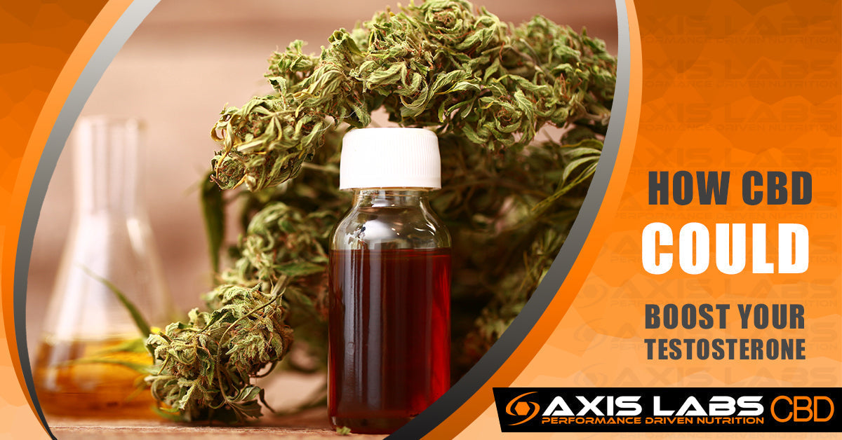 How CBD Could Boost Your Testosterone Axis Labs CBD