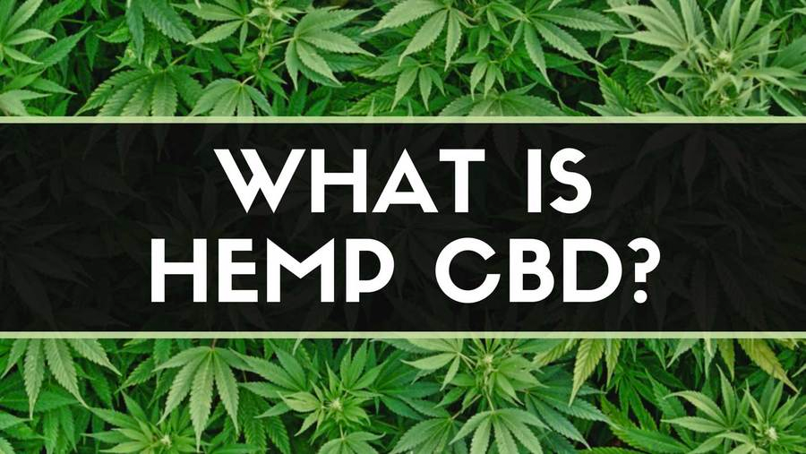 CBD From Hemp: What Is It and Can it Help me Axis Labs CBD