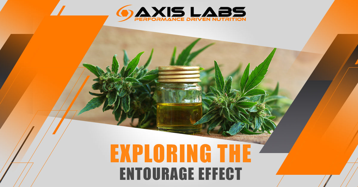 Exploring The Entourage Effect Axis Labs CBD