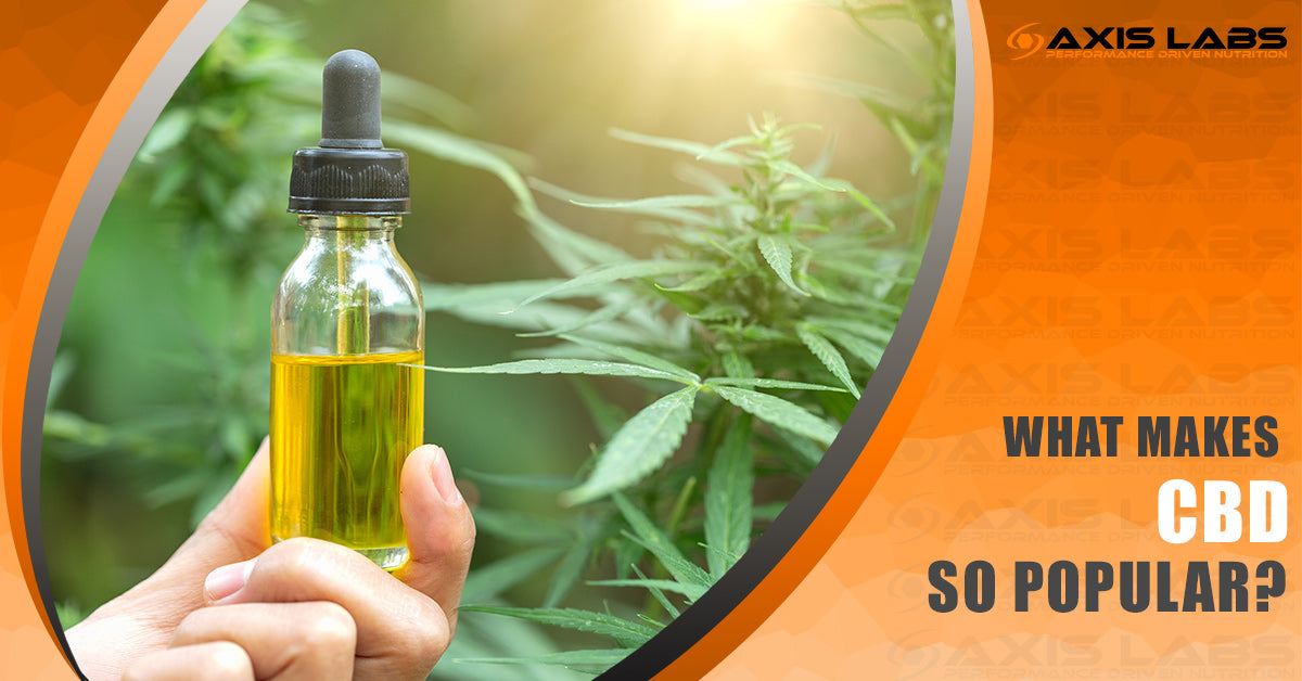 What Makes CBD So Popular? Axis Labs CBD