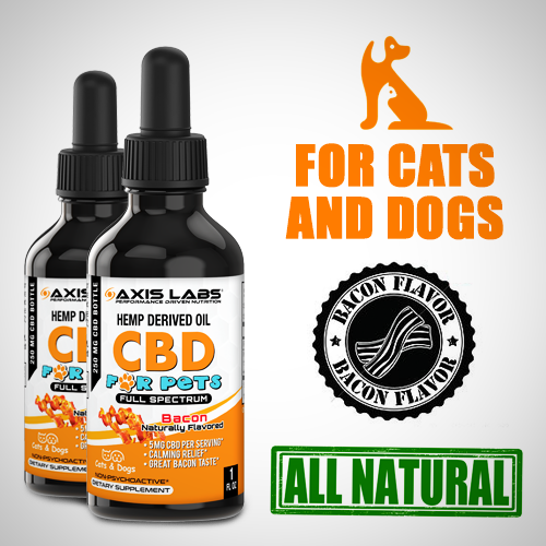 CBD Oil for Dogs Bacon or Chicken, CBD Oil for Cats